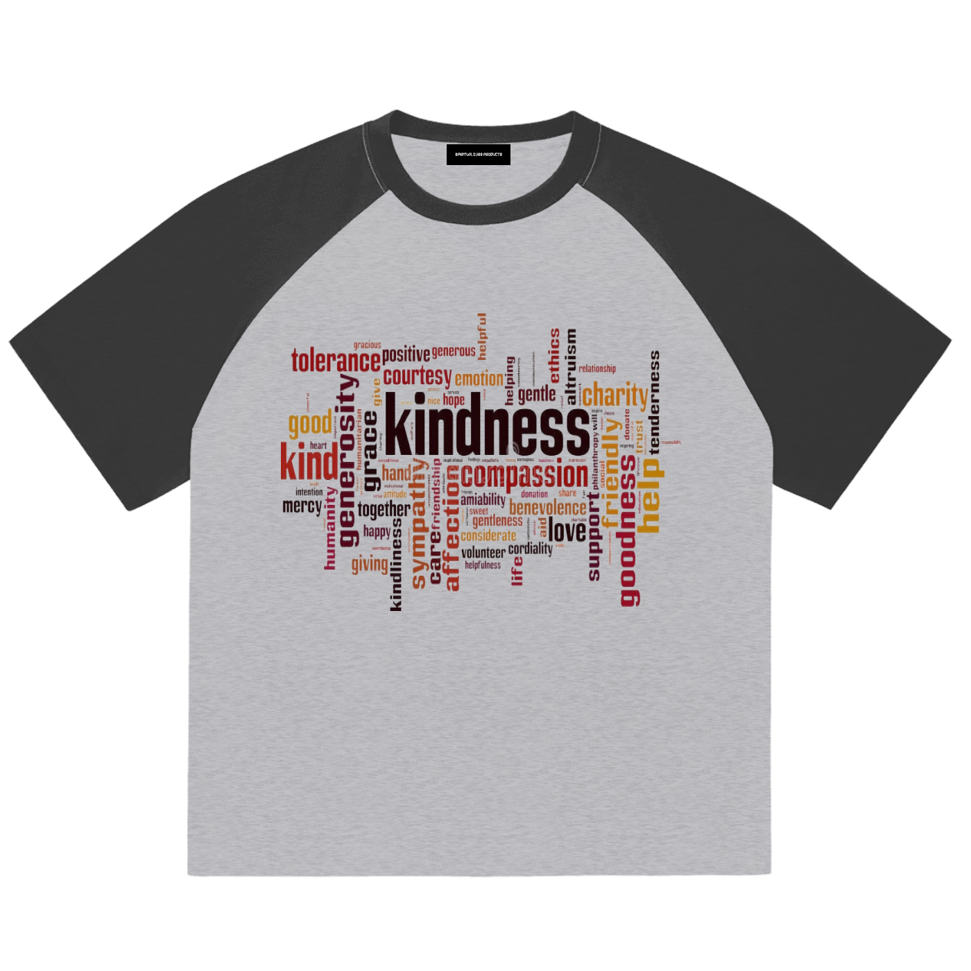 Color-Blocked Raglan Sleeve T-Shirt