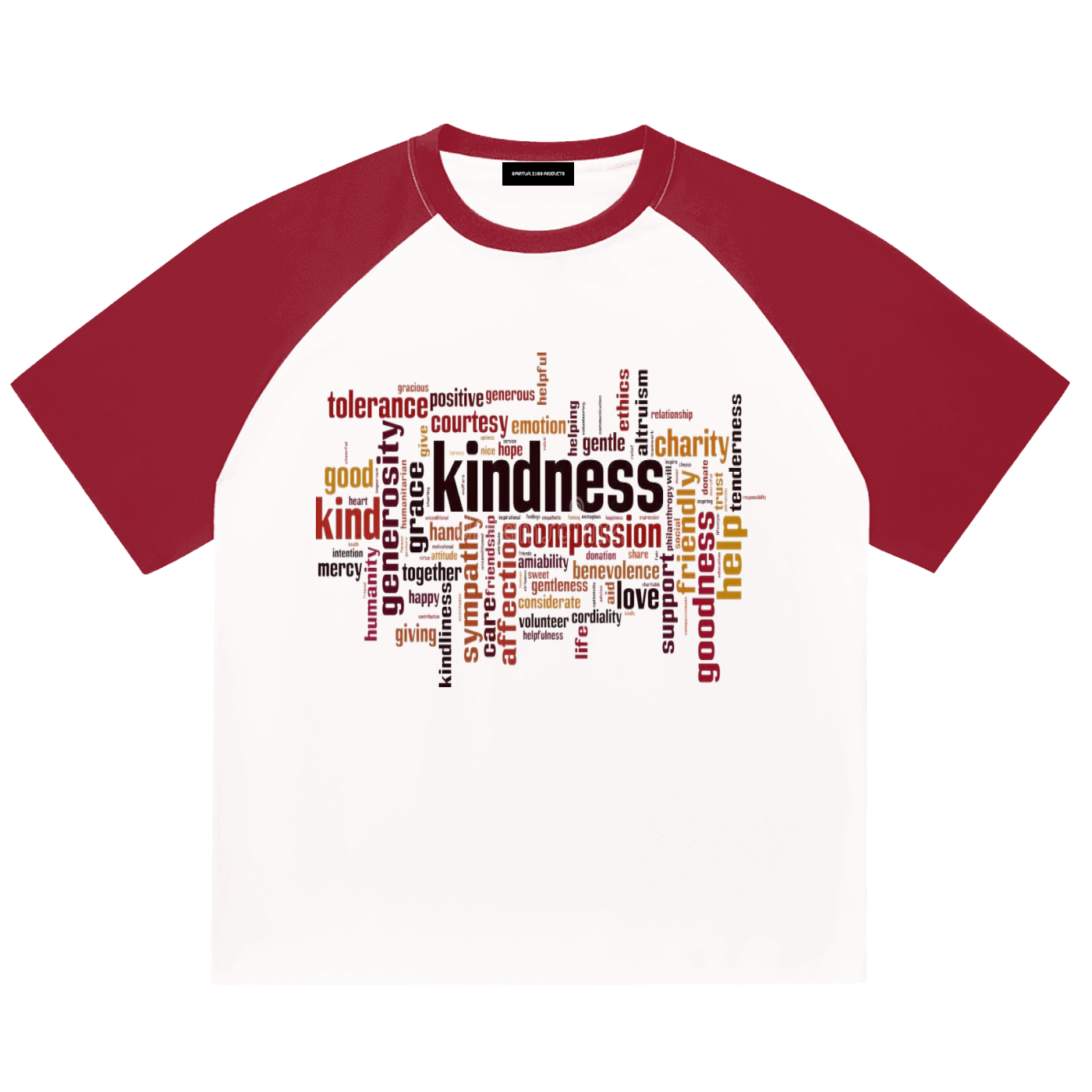 Color-Blocked Raglan Sleeve T-Shirt