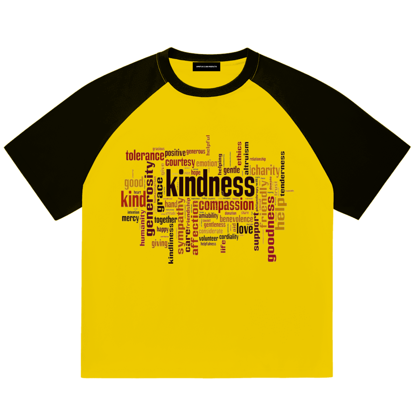 Color-Blocked Raglan Sleeve T-Shirt